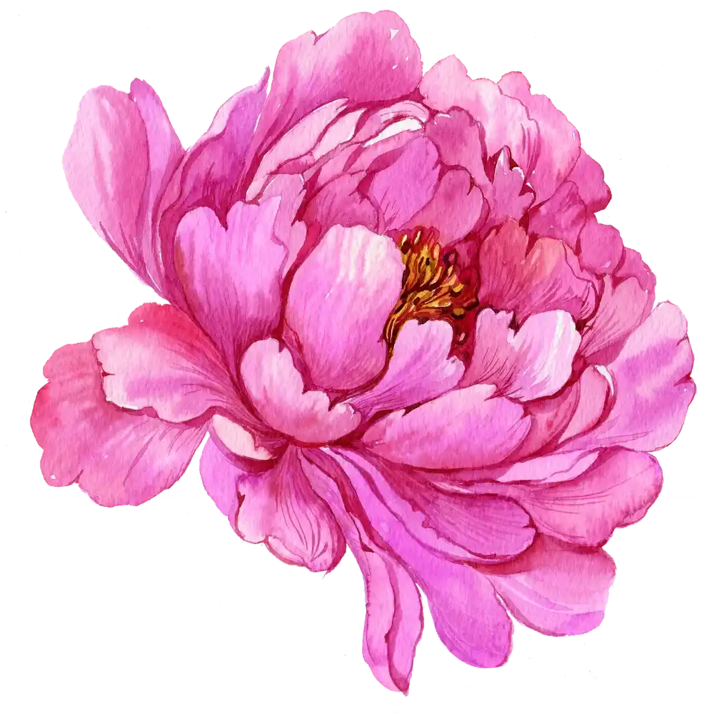 Peony