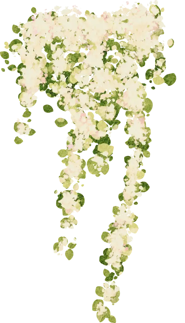White Hanging Details
